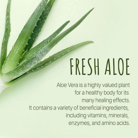 [Visvita] Sweet and Fresh Aloe Juice 500ml (Original Flavor)