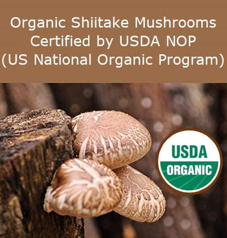 [Expiration date 12/11/2023] [DAY.N BIO Company Natural Organic Shiitake Powder 130g